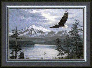 Mountain Lake with Eagle